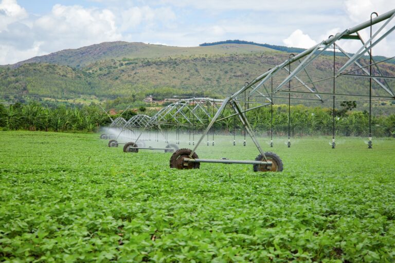 Irrigation in Rwanda